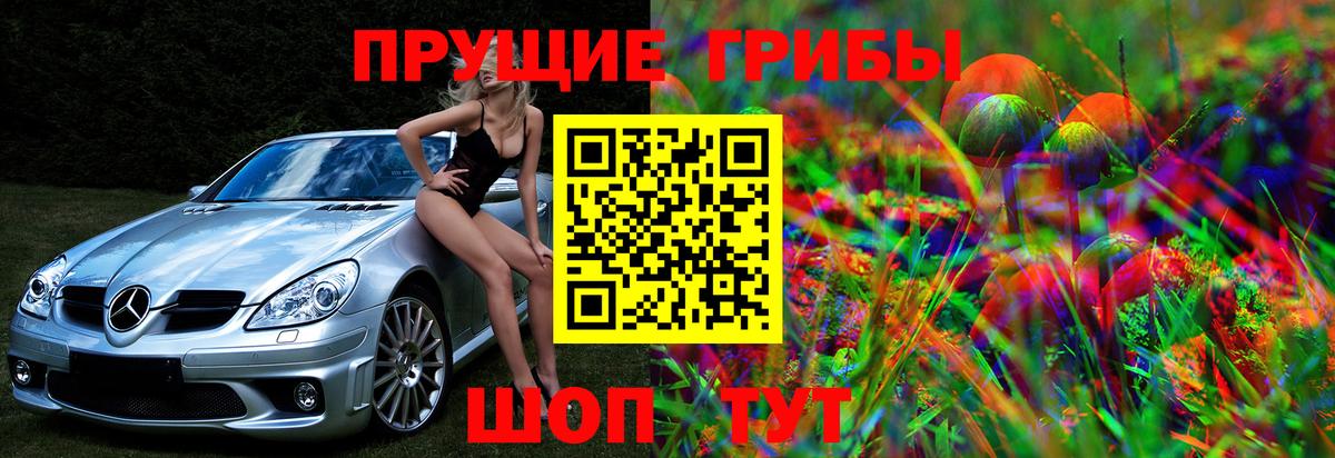 Псилоцибиновые грибы прущие грибы  Галлюциногенные грибы Psilocybine cubensis  Архангельск  Вход с VPN 